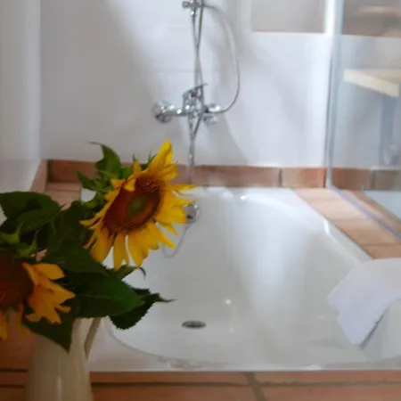 Landhuis Cortijo De Vega Grande