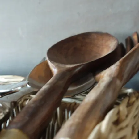 Cortijo De Vega Grande Landhuis Llerena