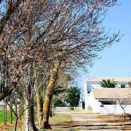 Cortijo De Vega Grande * Llerena