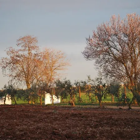 Kır Evi Cortijo De Vega Grande