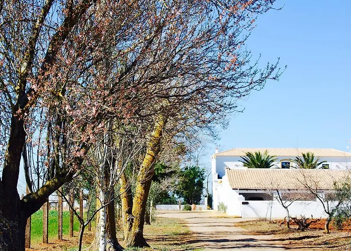 Cortijo De Vega Grande * Llerena