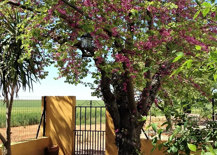 Cortijo De Vega Grande Casa rural Llerena